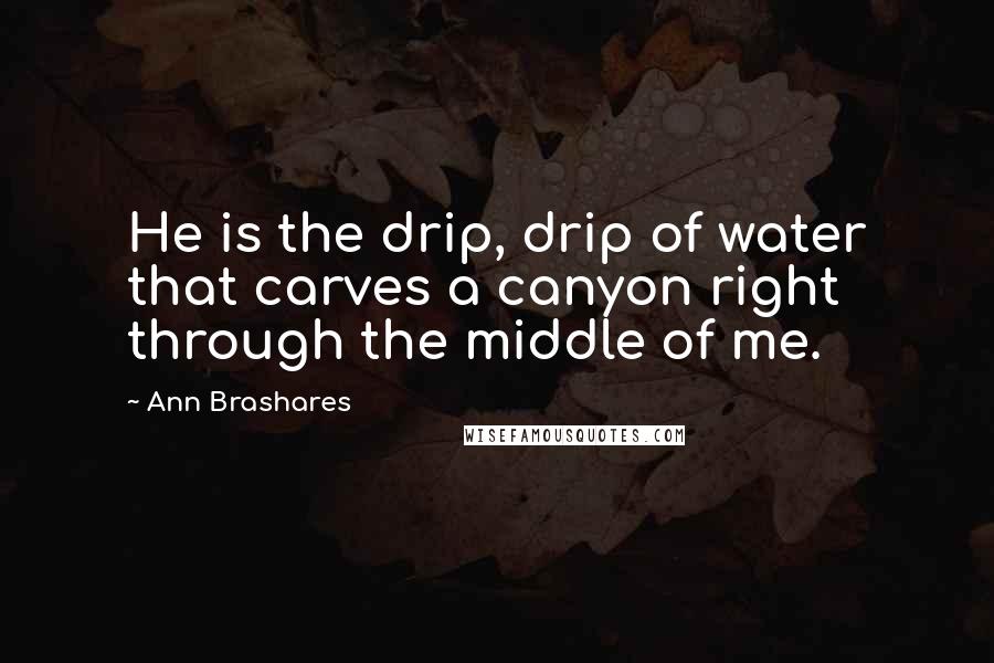 Ann Brashares Quotes: He is the drip, drip of water that carves a canyon right through the middle of me.