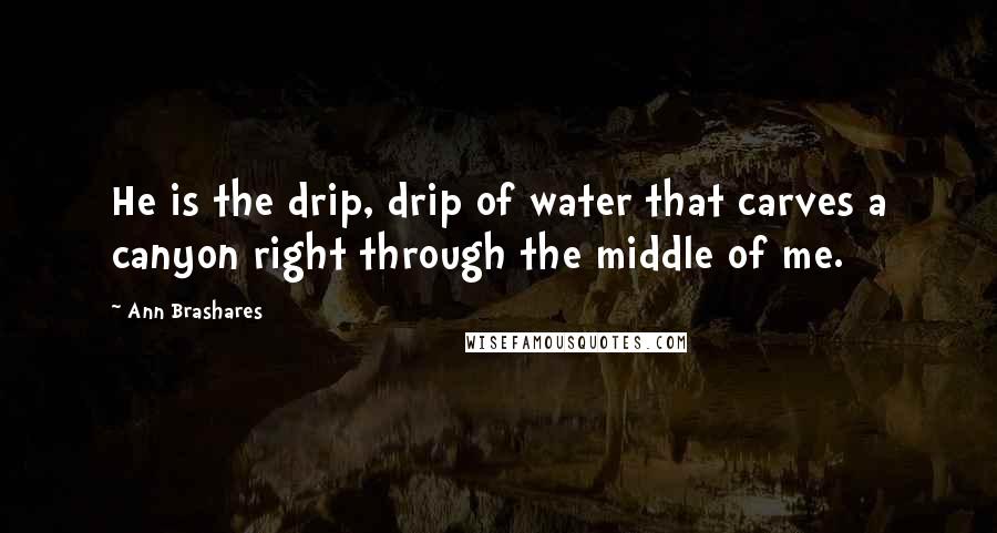 Ann Brashares Quotes: He is the drip, drip of water that carves a canyon right through the middle of me.