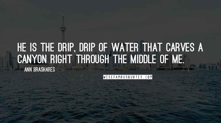 Ann Brashares Quotes: He is the drip, drip of water that carves a canyon right through the middle of me.