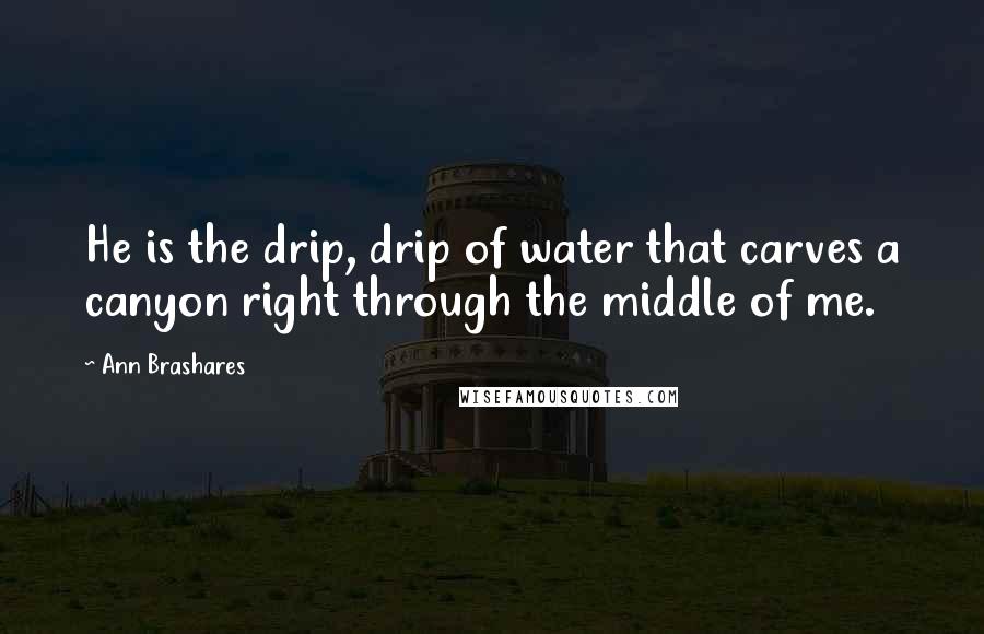 Ann Brashares Quotes: He is the drip, drip of water that carves a canyon right through the middle of me.