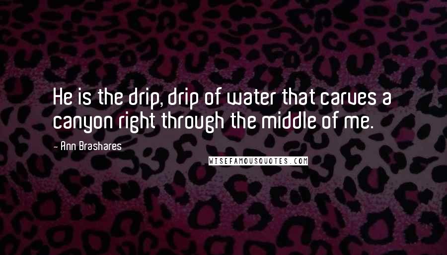 Ann Brashares Quotes: He is the drip, drip of water that carves a canyon right through the middle of me.