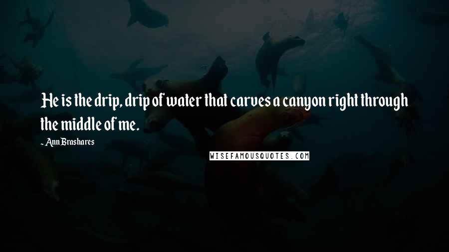 Ann Brashares Quotes: He is the drip, drip of water that carves a canyon right through the middle of me.