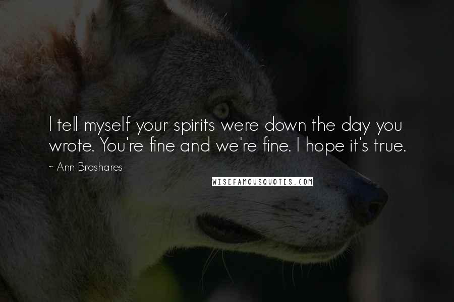 Ann Brashares Quotes: I tell myself your spirits were down the day you wrote. You're fine and we're fine. I hope it's true.