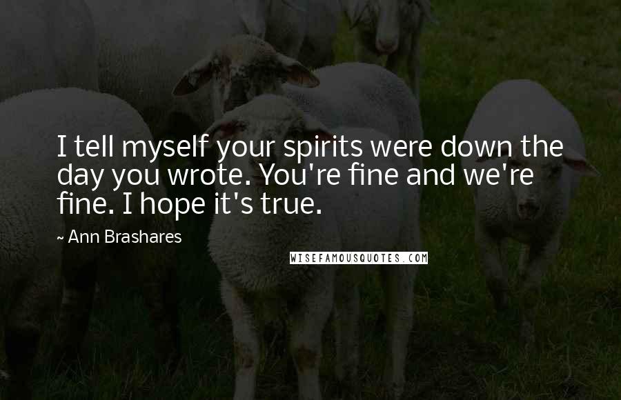 Ann Brashares Quotes: I tell myself your spirits were down the day you wrote. You're fine and we're fine. I hope it's true.