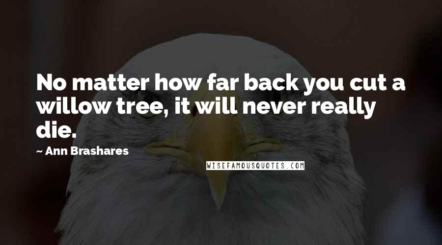 Ann Brashares Quotes: No matter how far back you cut a willow tree, it will never really die.