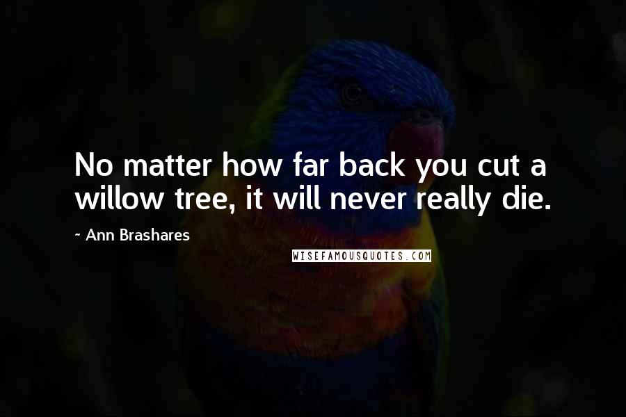 Ann Brashares Quotes: No matter how far back you cut a willow tree, it will never really die.
