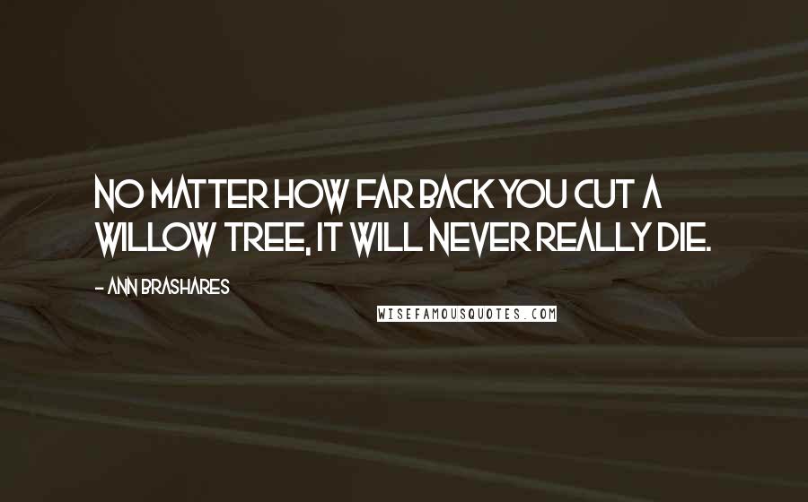 Ann Brashares Quotes: No matter how far back you cut a willow tree, it will never really die.