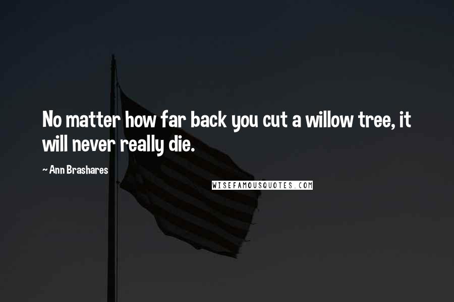 Ann Brashares Quotes: No matter how far back you cut a willow tree, it will never really die.