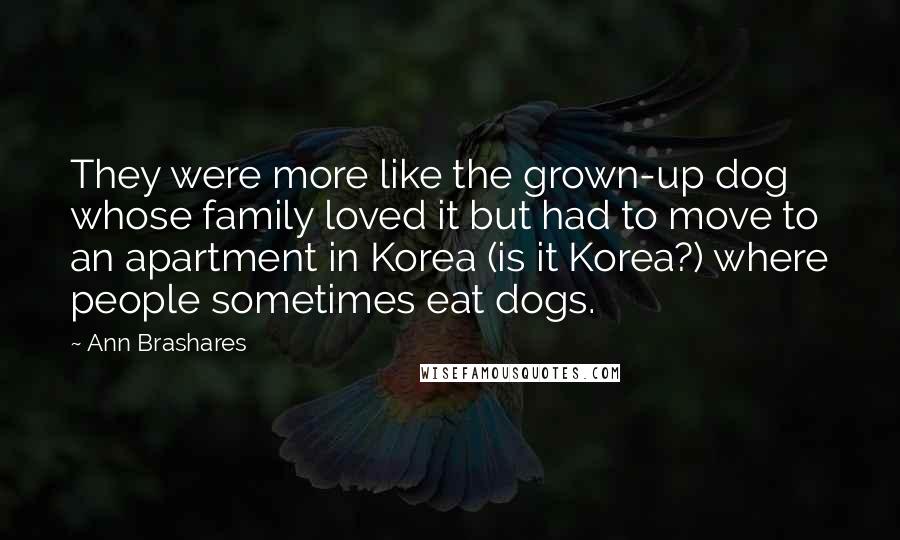 Ann Brashares Quotes: They were more like the grown-up dog whose family loved it but had to move to an apartment in Korea (is it Korea?) where people sometimes eat dogs.