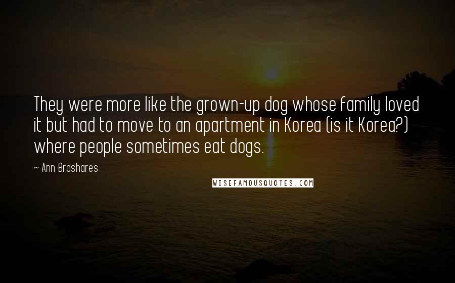 Ann Brashares Quotes: They were more like the grown-up dog whose family loved it but had to move to an apartment in Korea (is it Korea?) where people sometimes eat dogs.