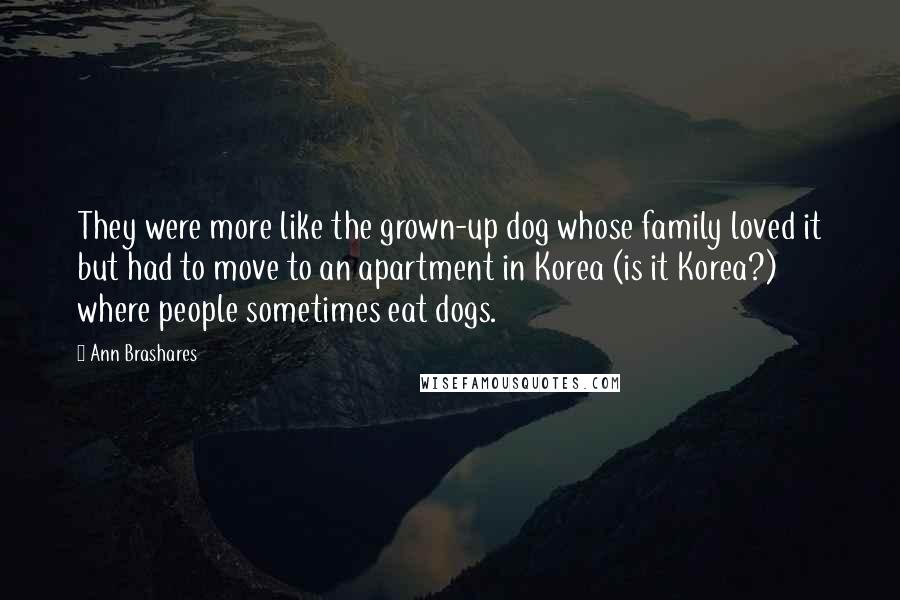 Ann Brashares Quotes: They were more like the grown-up dog whose family loved it but had to move to an apartment in Korea (is it Korea?) where people sometimes eat dogs.