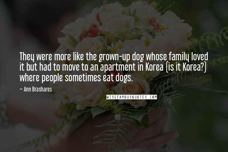 Ann Brashares Quotes: They were more like the grown-up dog whose family loved it but had to move to an apartment in Korea (is it Korea?) where people sometimes eat dogs.