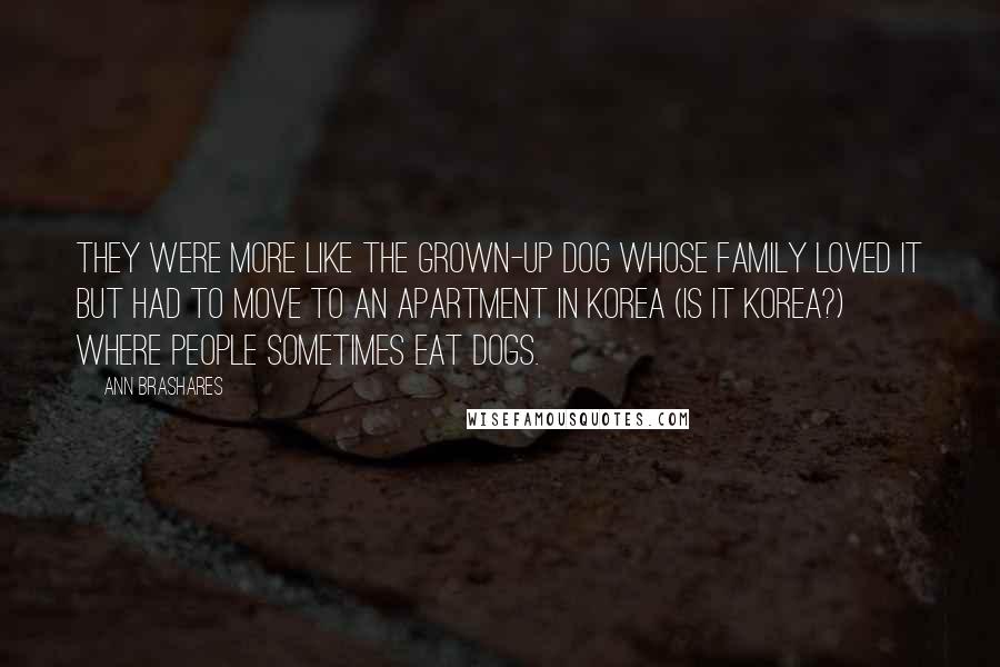 Ann Brashares Quotes: They were more like the grown-up dog whose family loved it but had to move to an apartment in Korea (is it Korea?) where people sometimes eat dogs.