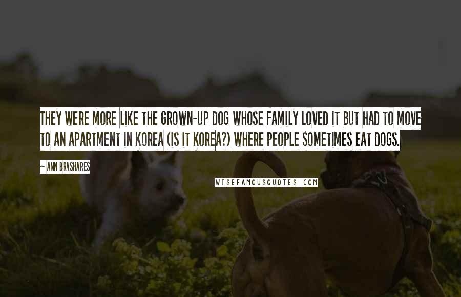 Ann Brashares Quotes: They were more like the grown-up dog whose family loved it but had to move to an apartment in Korea (is it Korea?) where people sometimes eat dogs.