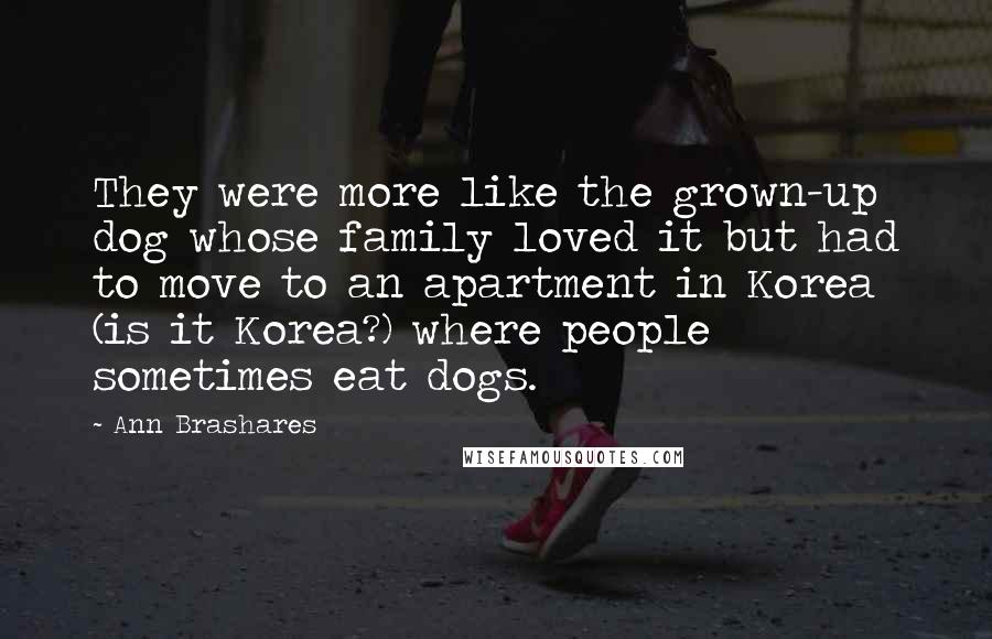 Ann Brashares Quotes: They were more like the grown-up dog whose family loved it but had to move to an apartment in Korea (is it Korea?) where people sometimes eat dogs.