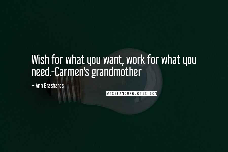 Ann Brashares Quotes: Wish for what you want, work for what you need.-Carmen's grandmother