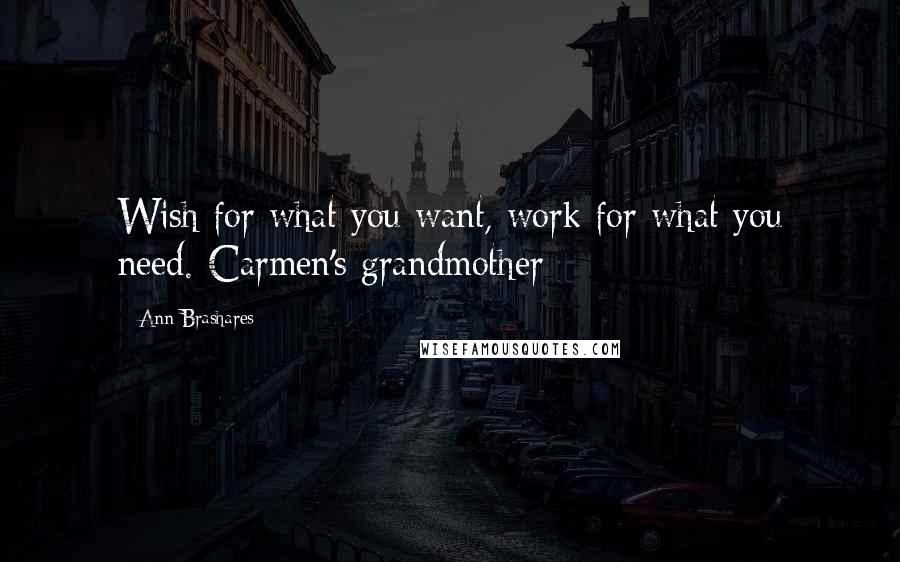 Ann Brashares Quotes: Wish for what you want, work for what you need.-Carmen's grandmother