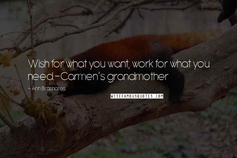 Ann Brashares Quotes: Wish for what you want, work for what you need.-Carmen's grandmother