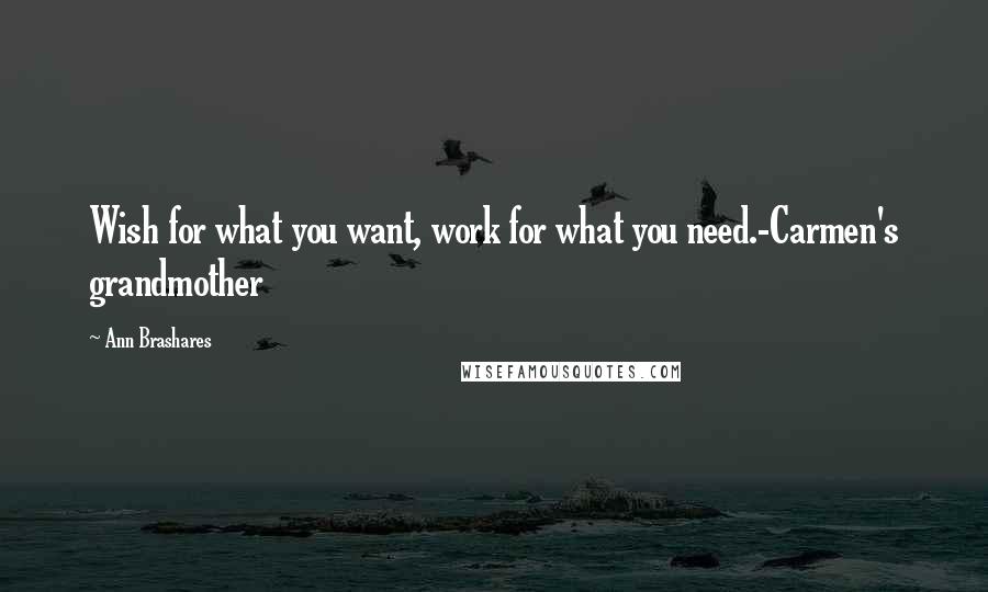 Ann Brashares Quotes: Wish for what you want, work for what you need.-Carmen's grandmother