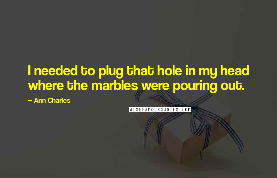 Ann Charles Quotes: I needed to plug that hole in my head where the marbles were pouring out.