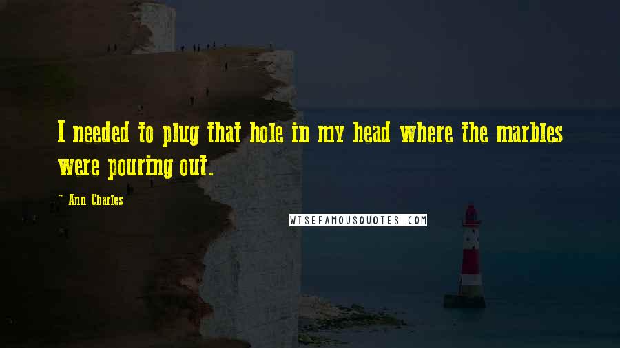 Ann Charles Quotes: I needed to plug that hole in my head where the marbles were pouring out.