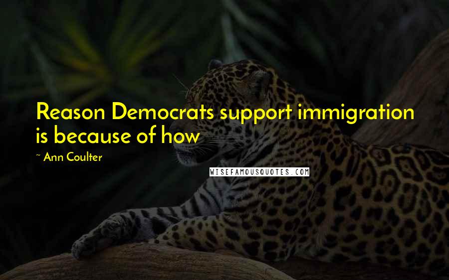 Ann Coulter Quotes: Reason Democrats support immigration is because of how