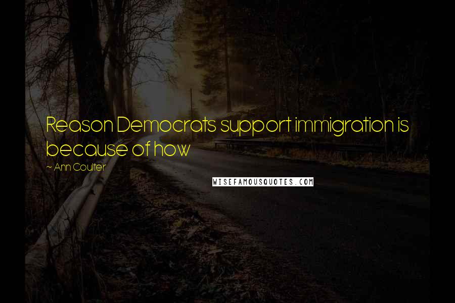 Ann Coulter Quotes: Reason Democrats support immigration is because of how