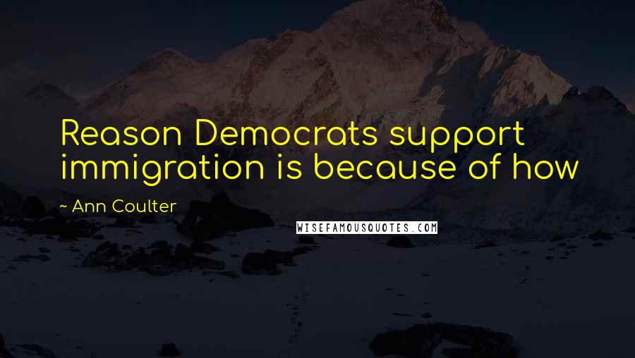 Ann Coulter Quotes: Reason Democrats support immigration is because of how