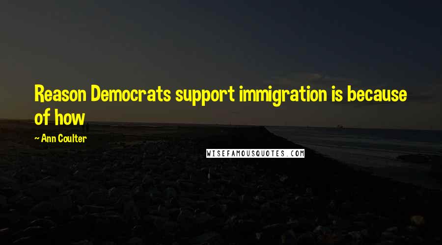 Ann Coulter Quotes: Reason Democrats support immigration is because of how