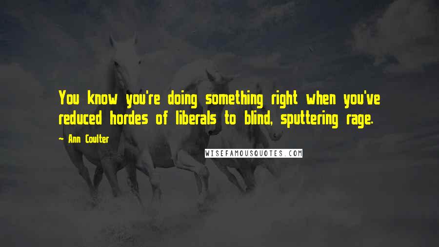 Ann Coulter Quotes: You know you're doing something right when you've reduced hordes of liberals to blind, sputtering rage.