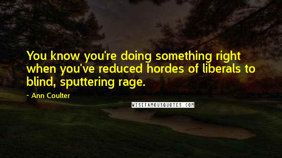 Ann Coulter Quotes: You know you're doing something right when you've reduced hordes of liberals to blind, sputtering rage.