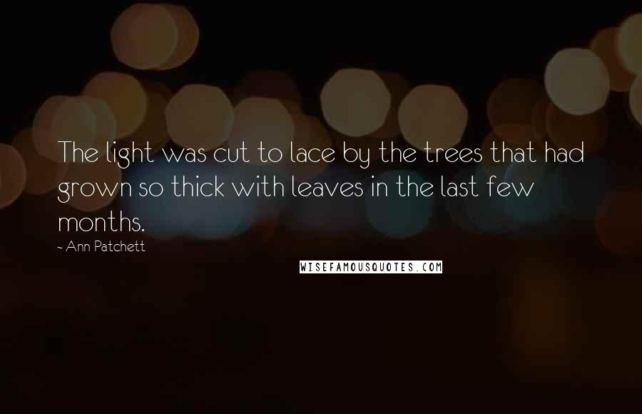 Ann Patchett Quotes: The light was cut to lace by the trees that had grown so thick with leaves in the last few months.