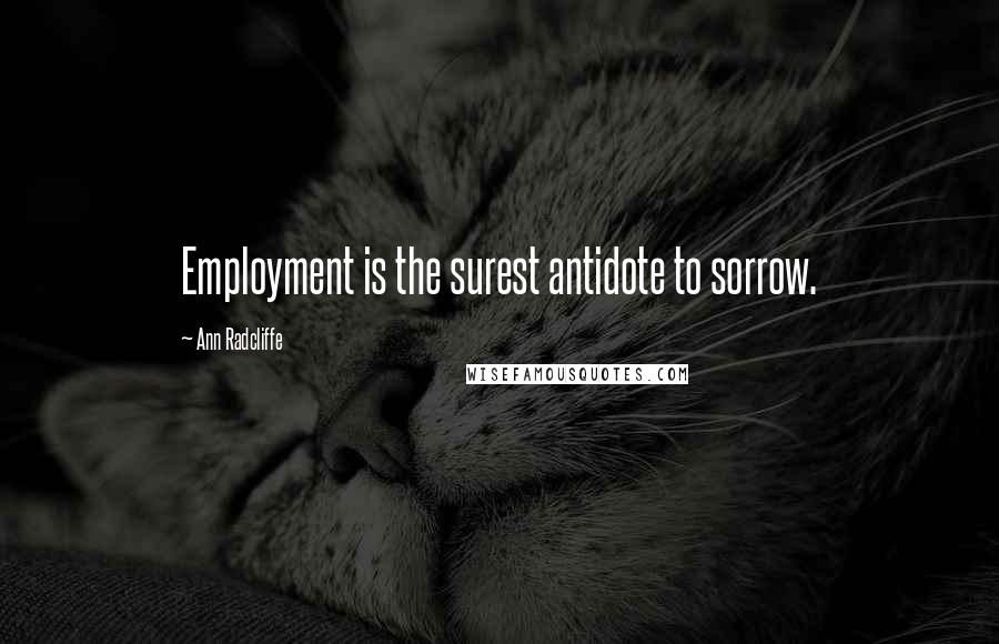 Ann Radcliffe Quotes: Employment is the surest antidote to sorrow.