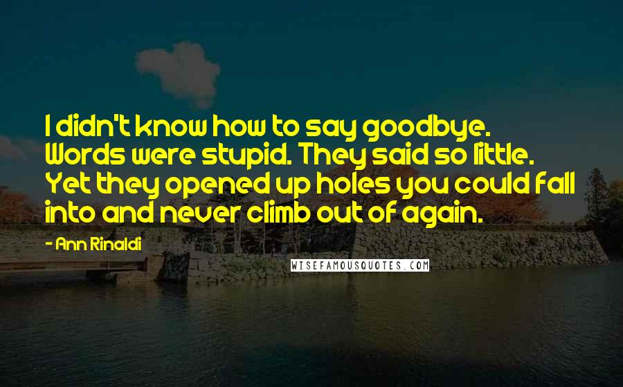 Ann Rinaldi Quotes: I didn't know how to say goodbye. Words were stupid. They said so little. Yet they opened up holes you could fall into and never climb out of again.