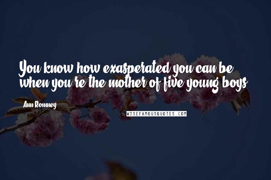 Ann Romney Quotes: You know how exasperated you can be when you're the mother of five young boys.