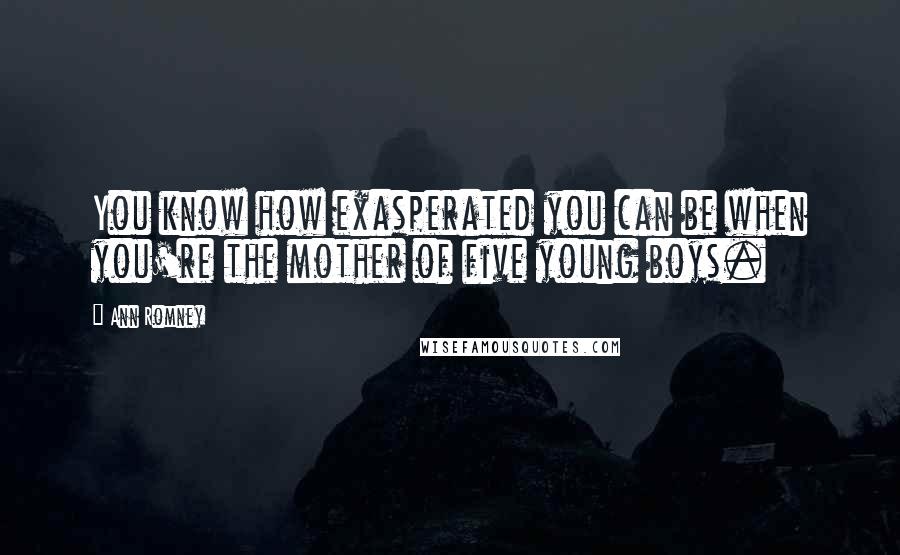 Ann Romney Quotes: You know how exasperated you can be when you're the mother of five young boys.