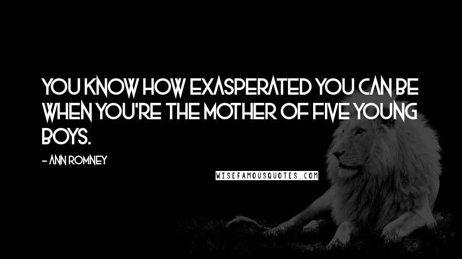 Ann Romney Quotes: You know how exasperated you can be when you're the mother of five young boys.