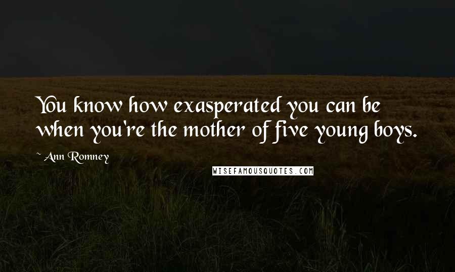 Ann Romney Quotes: You know how exasperated you can be when you're the mother of five young boys.