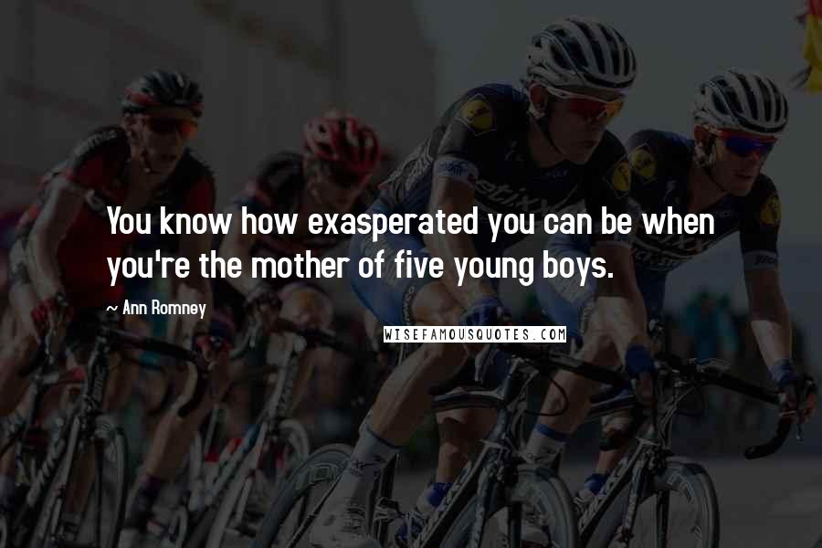 Ann Romney Quotes: You know how exasperated you can be when you're the mother of five young boys.