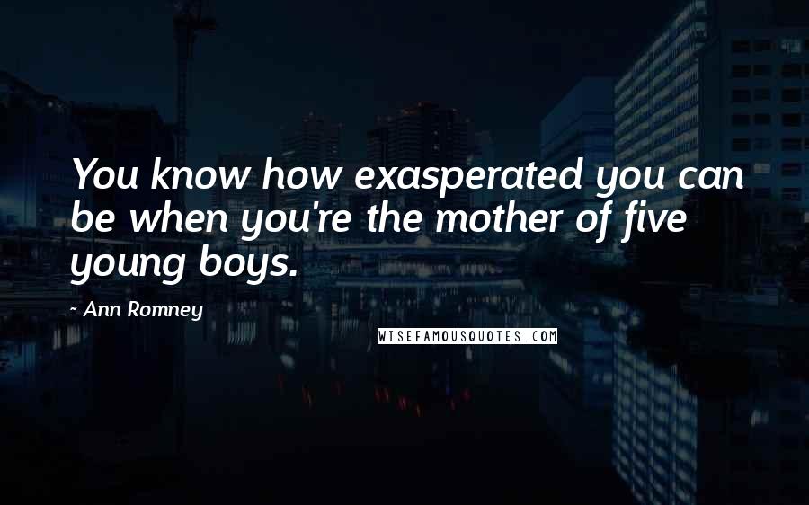 Ann Romney Quotes: You know how exasperated you can be when you're the mother of five young boys.