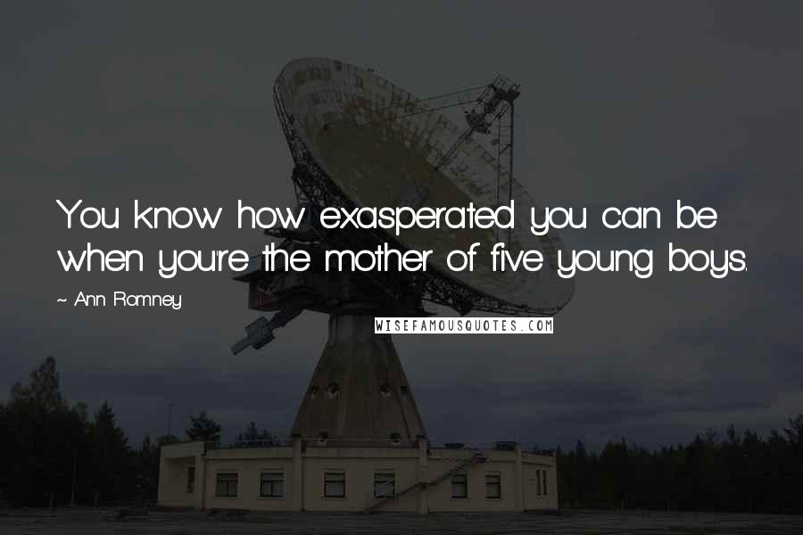 Ann Romney Quotes: You know how exasperated you can be when you're the mother of five young boys.