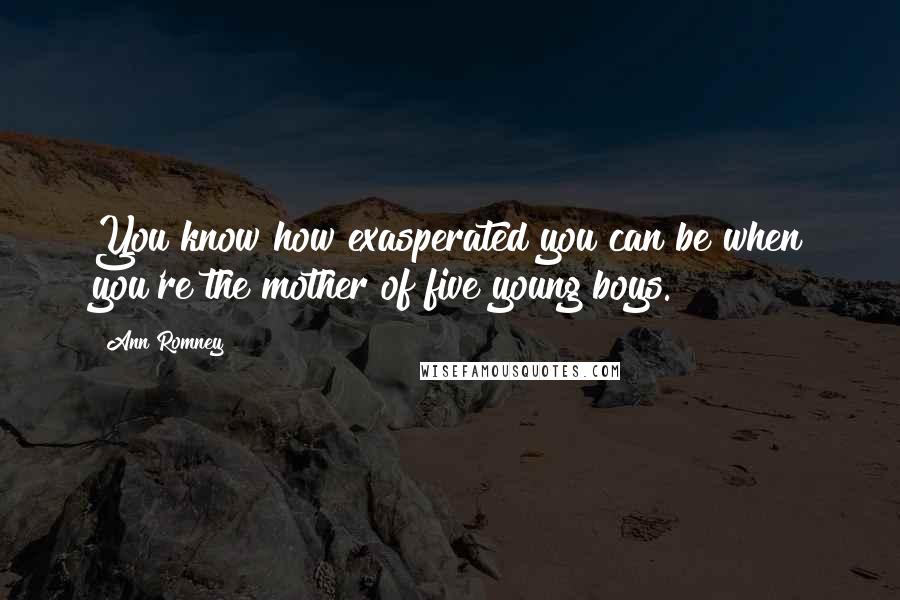 Ann Romney Quotes: You know how exasperated you can be when you're the mother of five young boys.