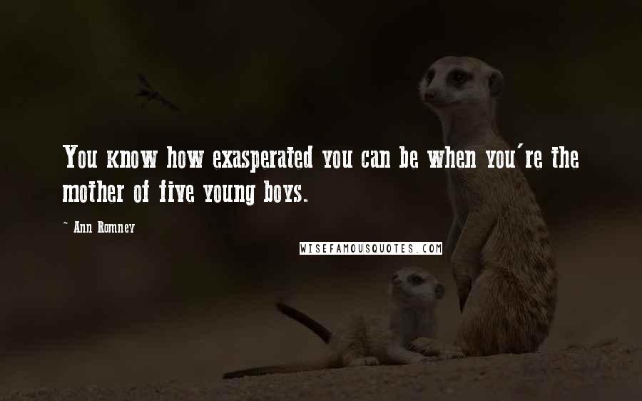 Ann Romney Quotes: You know how exasperated you can be when you're the mother of five young boys.