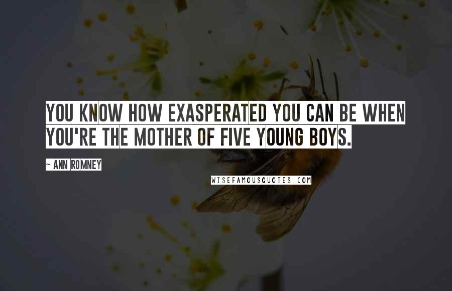 Ann Romney Quotes: You know how exasperated you can be when you're the mother of five young boys.