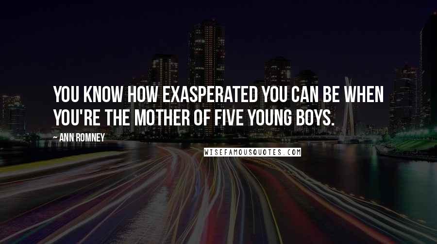 Ann Romney Quotes: You know how exasperated you can be when you're the mother of five young boys.