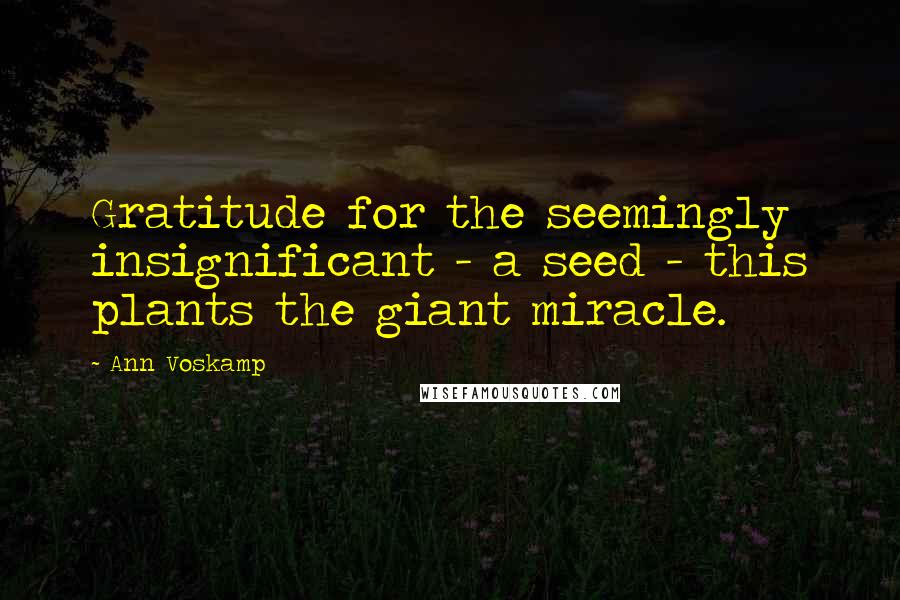 Ann Voskamp Quotes: Gratitude for the seemingly insignificant - a seed - this plants the giant miracle.