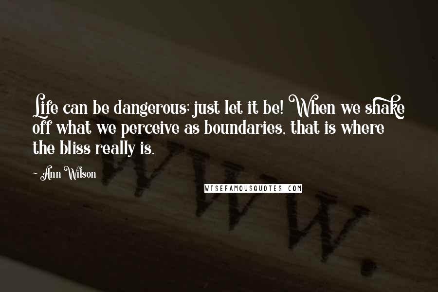 Ann Wilson Quotes: Life can be dangerous; just let it be! When we shake off what we perceive as boundaries, that is where the bliss really is.