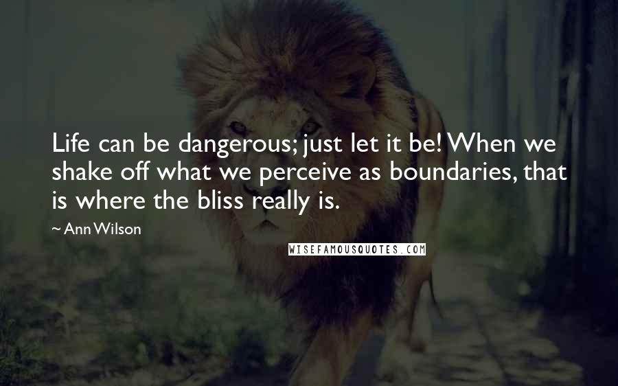 Ann Wilson Quotes: Life can be dangerous; just let it be! When we shake off what we perceive as boundaries, that is where the bliss really is.