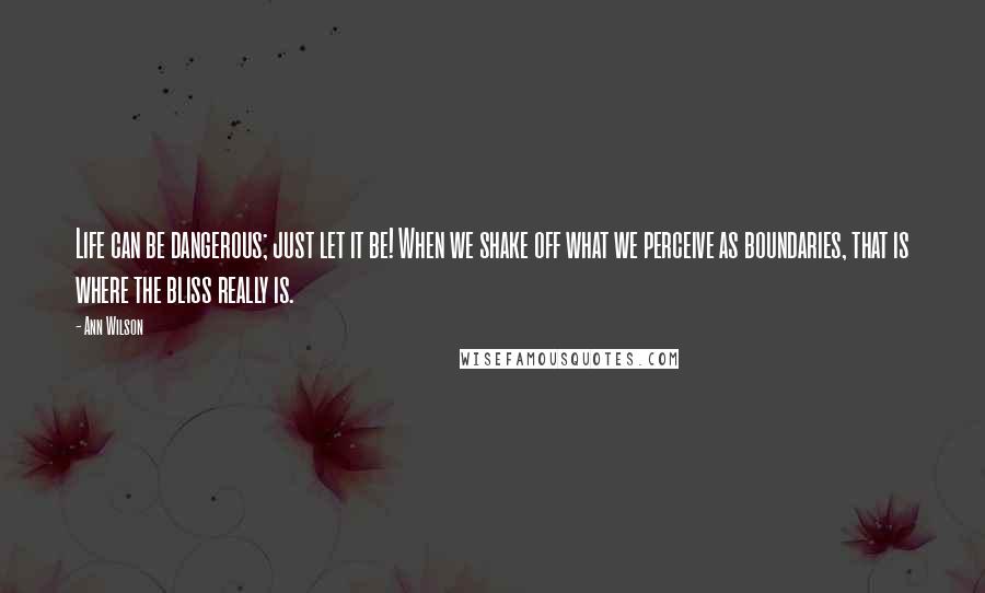 Ann Wilson Quotes: Life can be dangerous; just let it be! When we shake off what we perceive as boundaries, that is where the bliss really is.