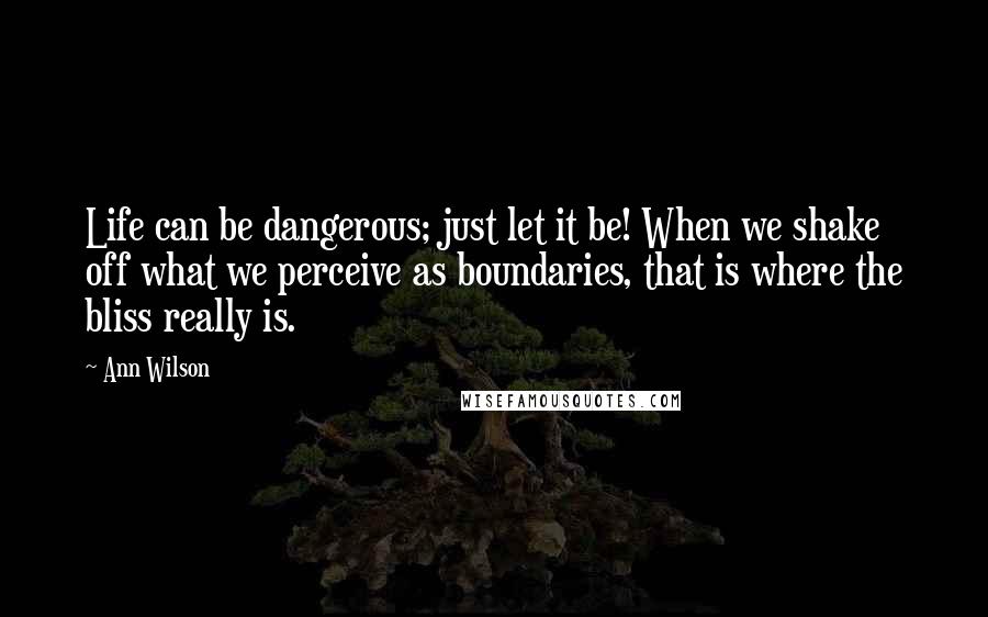 Ann Wilson Quotes: Life can be dangerous; just let it be! When we shake off what we perceive as boundaries, that is where the bliss really is.